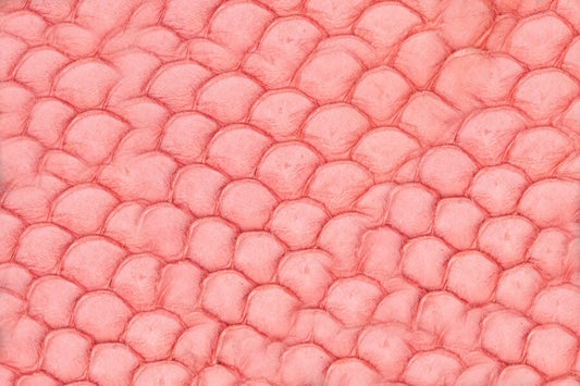 Bureau of Exotic Waste Awareness